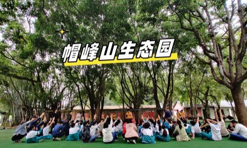 <b>清明節小長假帽峰山生態園團建方案，戶外春游</b>